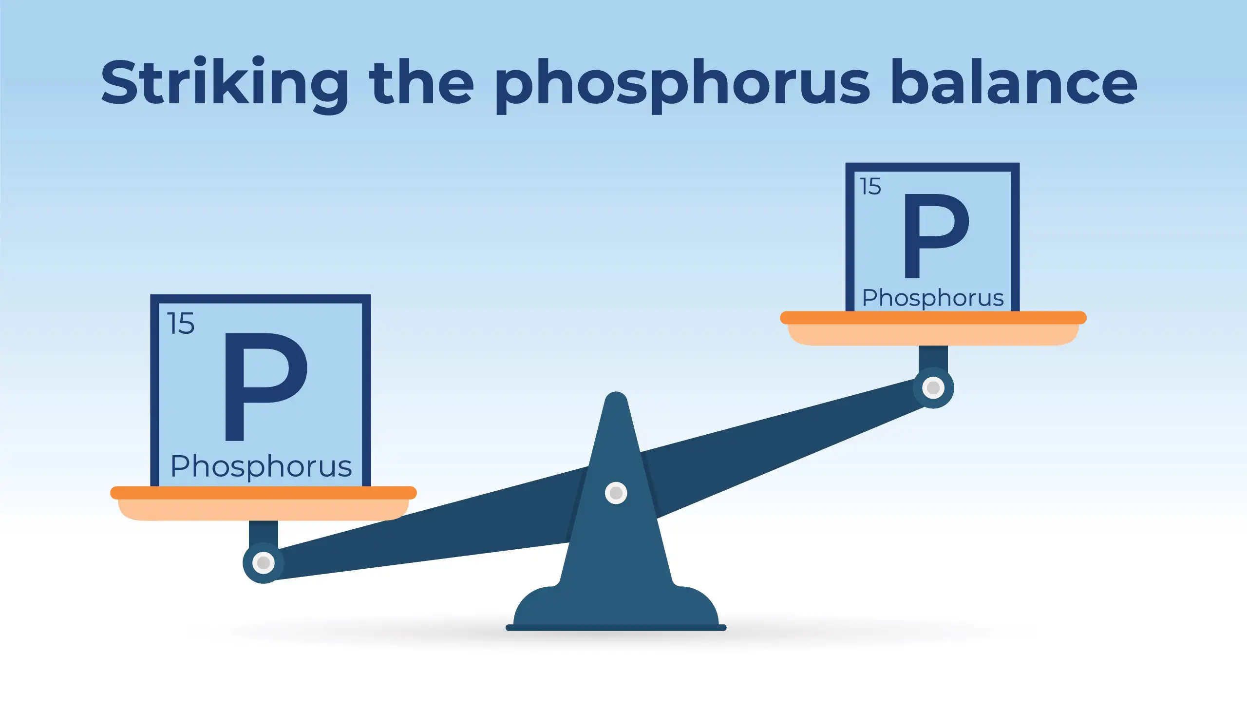 scale with Phosphorus element from periodic table on each side